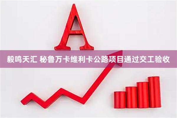 毅鸣天汇 秘鲁万卡维利卡公路项目通过交工验收